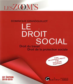 Le droit social - droit du travail - droit de la protection sociale (édition 2018/2019)