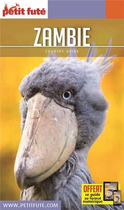 Country guide : Zambie (édition 2020)