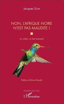 Non, l'Afrique noire n'est pas maudite - le colibri, un bel exemple