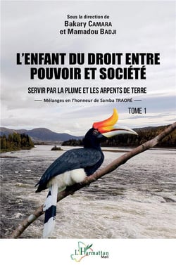 L'enfant du droit, entre pouvoir et socieété Tome 1 : servir par la plume et les arpents de terre