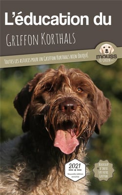 L'éducation du Griffon Korthals : toutes les astuces pour un Griffon Korthals bien éduqué