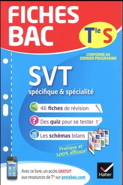 Fiches bac