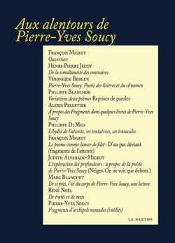 Aux alentours de Pierre-Yves Soucy