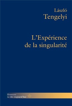 L'expérience de la singularité : Essais philosophiques, Volume 2