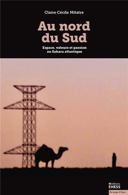 Au nord du sud - espace, valeurs et passion au Sahara atlantique