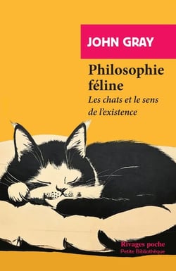 Philosophie féline : Les chats et le sens de l'existence
