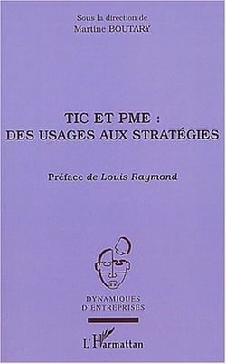 Tic et pme : des usages aux strategies