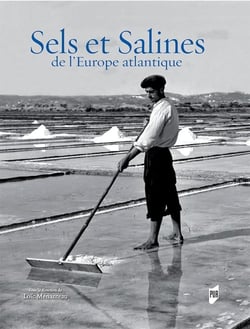 Sels et Salines de l'Europe atlantique