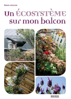 Un écosystème sur mon balcon