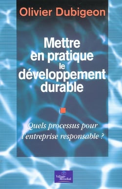 Mettre en pratique le developpement durable - quels processus pour l'entreprise responsable
