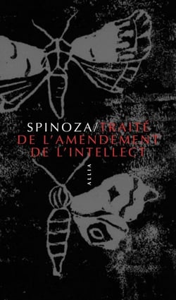 TRAITE DE L'AMENDEMENT DE L'INTELLECT