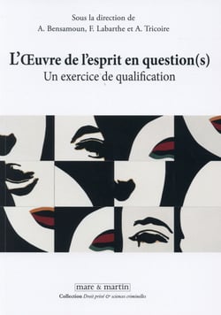 L'oeuvre de l'esprit en question (s) - un exercice de qualification
