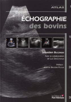 Échographie des bovins