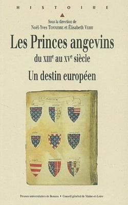 Les princes angevins du XIII au XV siècle - un destin européen