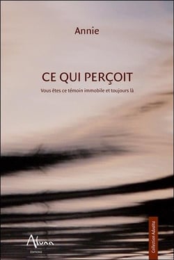 Ce qui perçoit - vous êtes ce témoin immobile et toujours là