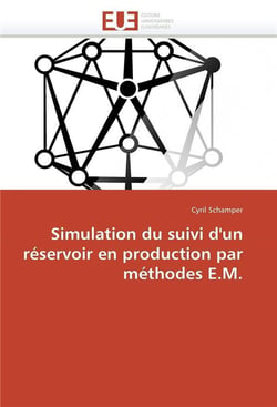 Simulation du suivi d'un reservoir en production par methodes e.m.