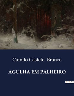 AGULHA EM PALHEIRO : A busca desesperada por justiça em uma Lisboa enigmatica.