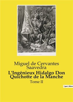 L'Ingénieux Hidalgo Don Quichotte de la Manche : Tome II