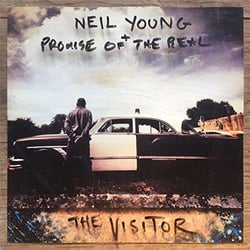 The visitor