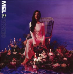 19 roses