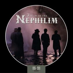 5 albums box set