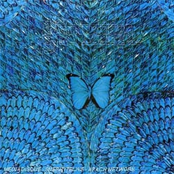Borboletta - CD