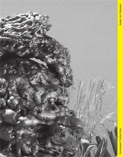 Permanent collection issue 05