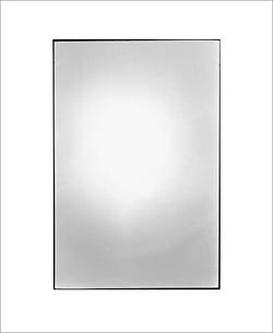 Zoe Leonard : available light