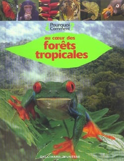 Au coeur des forets tropicales