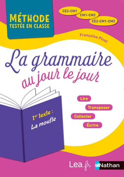 La grammaire au jour le jour - CE2-CM1 - CM1-CM2 - CE2-CM1-CM2 (édition 2018)