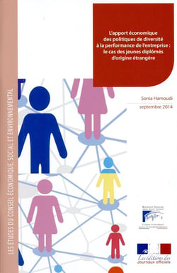 L'apport économique des politiques de diversité à la performance de l'entreprise : le cas des jeunes diplômés d'origine étrangère