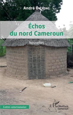 Échos du nord Cameroun : nouvelles