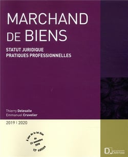 MARCHAND DE BIENS 2019/20 - STATUT JURIDIQUE - PRATIQUES PROFESSIONNELLES