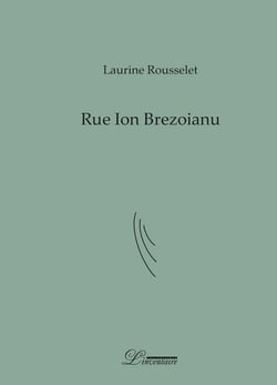 Rue ion brezoianu - poème-fleuve