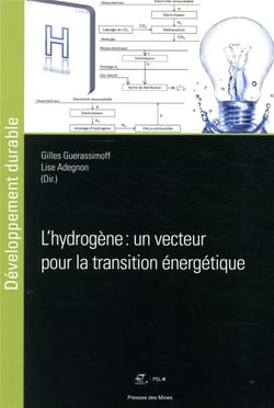 L'hydrogène, un vecteur pour la transition énergétique ?