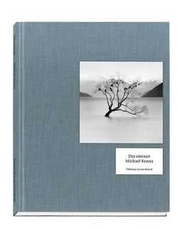 Des oiseaux