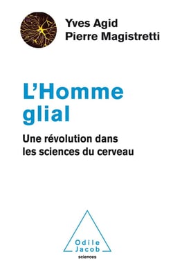 L'homme glial - une révolution dans les sciences du cerveau
