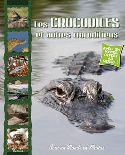 Tout un monde en photos - les crocodiles et autres crocodiliens