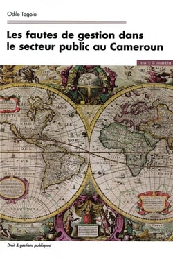 Les fautes de gestion dans le secteur public au Cameroun