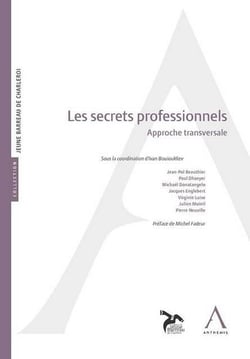 Les secrets professionnels - approche transversale