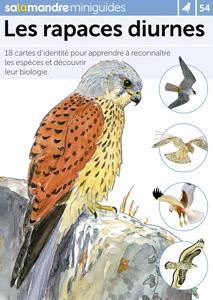 Miniguide 54 - Les rapaces diurnes