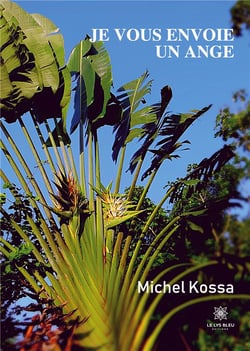 Je vous envoie un ange