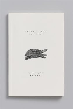 Carnet animal aquatique - heosemyde epineuse