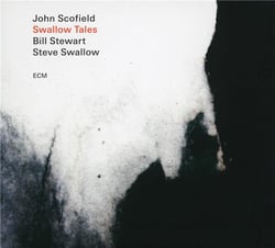 Swallow tales