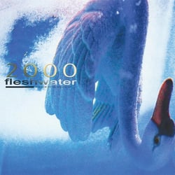 2000: In Search Of The Endless Sky - édition colorée