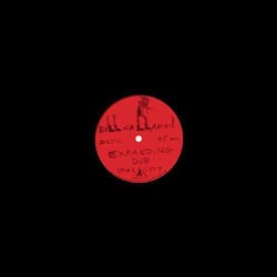 Expanding dub - Vinyle