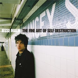 Fine Art Of Self Destruction