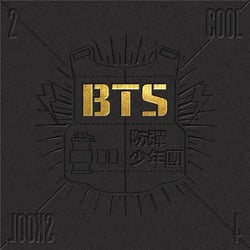 Single album vol. 1 - 2 cool 4 skool