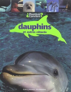 Dauphins et autres cetaces