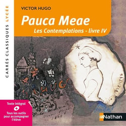 Les contemplations livre IV - Pauca Meae